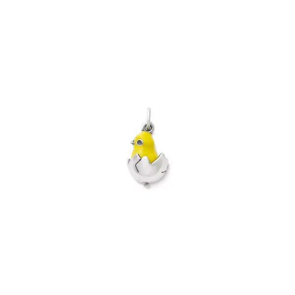 James Avery Artisan Jewelry Charms-Enamel Chicks Rule Charm